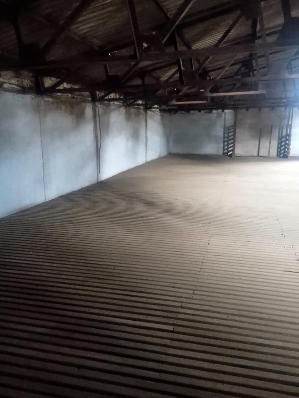 Cold storage main chamber — ribbed floor and high bay with steel roof trusses